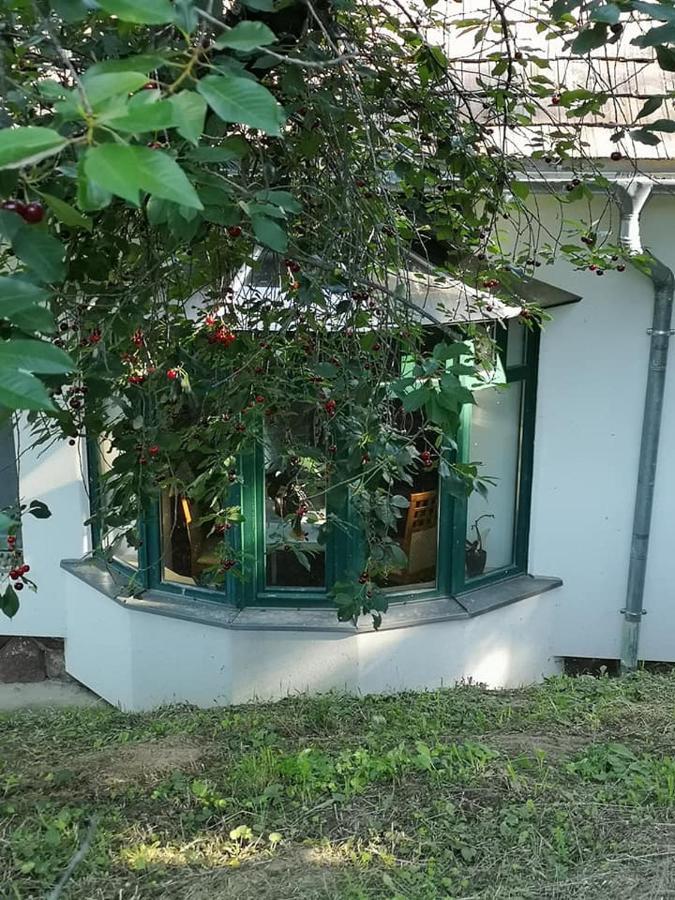 Villa Nyugalomsziget Kotcse Exterior foto