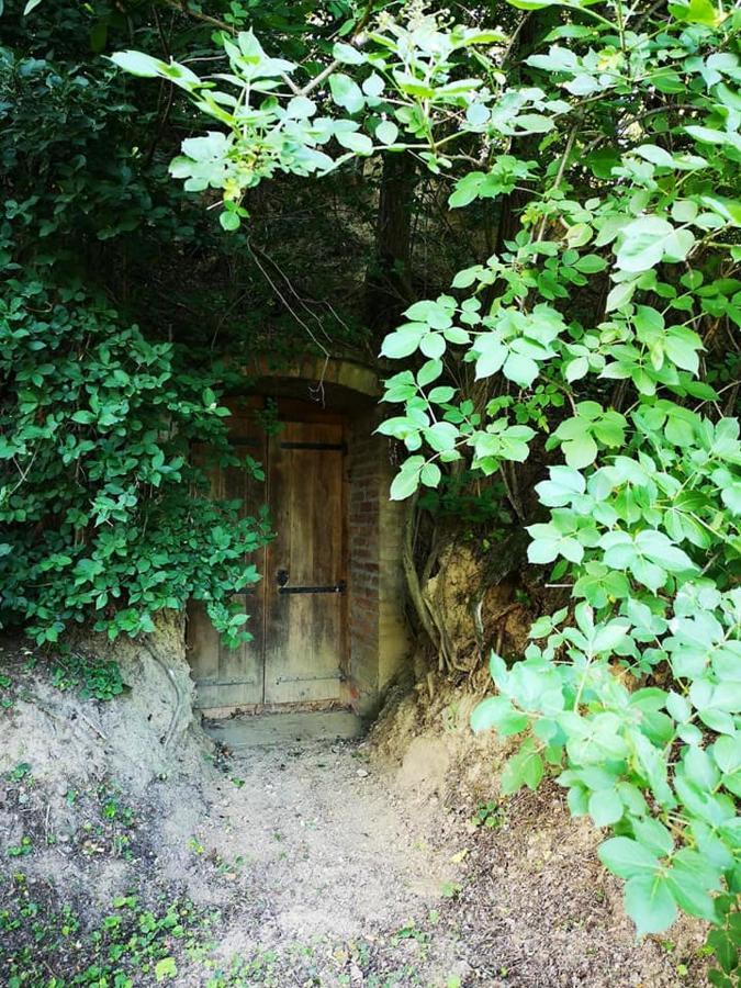 Villa Nyugalomsziget Kotcse Exterior foto
